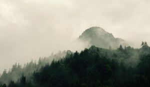 Превью обои горы, лес, деревья, туман, природа, холмы