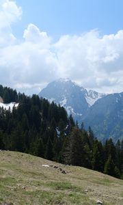 Превью обои горы, лес, деревья, облака, небо, природа