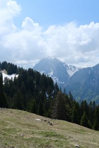 Превью обои горы, лес, деревья, облака, небо, природа