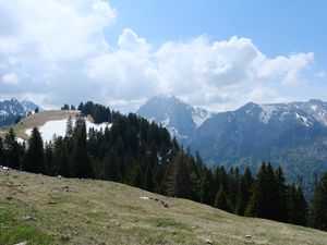 Превью обои горы, лес, деревья, облака, небо, природа