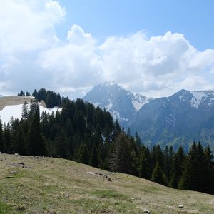 Превью обои горы, лес, деревья, облака, небо, природа