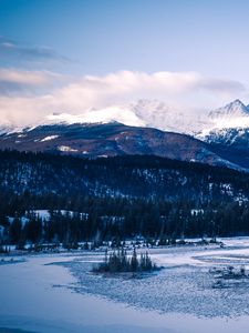 Превью обои горы, лес, деревья, снег, заснеженный