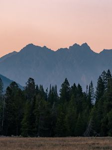 Превью обои горы, лес, деревья, ель, небо