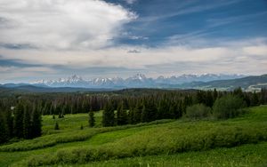 Превью обои горы, лес, деревья, кусты, трава, пейзаж