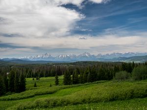 Превью обои горы, лес, деревья, кусты, трава, пейзаж