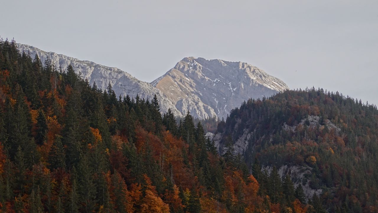 Обои горы, лес, деревья, природа, пейзаж, осень