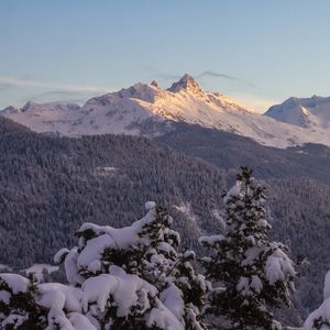 Превью обои горы, лес, деревья, снег, зима, пейзаж