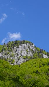 Превью обои горы, лес, деревья, облака, природа
