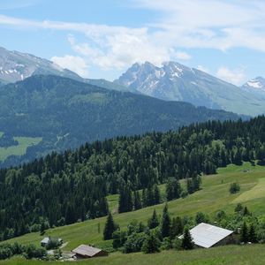 Превью обои горы, лес, деревья, домики, пейзаж