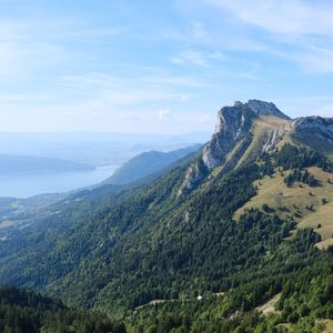 Превью обои горы, лес, деревья, склон, трава