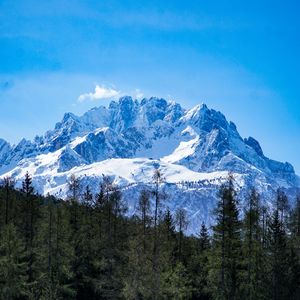 Превью обои горы, лес, пейзаж, вершина, снег, деревья