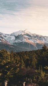 Превью обои горы, лес, пейзаж, вершины, заснеженный