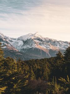 Превью обои горы, лес, пейзаж, вершины, заснеженный