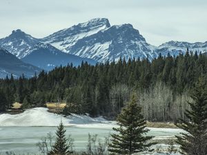 Превью обои горы, лес, сосны, снег, зима, природа