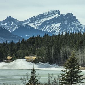 Превью обои горы, лес, сосны, снег, зима, природа