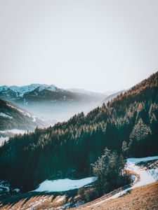 Превью обои горы, лес, туман, природа