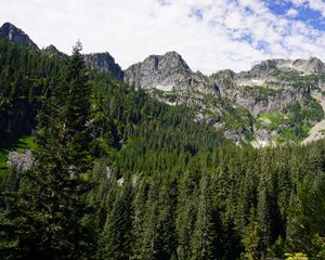 Превью обои горы, лес, вершина, склон, деревья