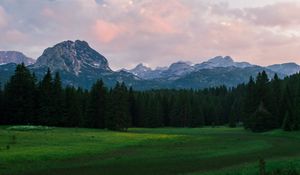 Превью обои горы, луг, деревья, трава, пейзаж