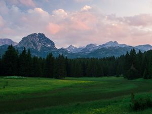 Превью обои горы, луг, деревья, трава, пейзаж