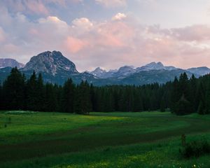 Превью обои горы, луг, деревья, трава, пейзаж