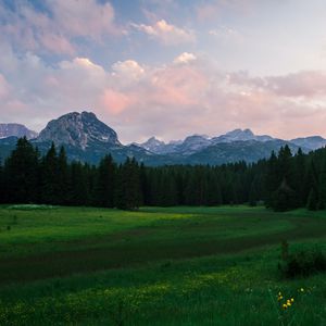 Превью обои горы, луг, деревья, трава, пейзаж