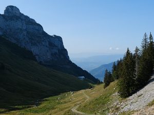 Превью обои горы, луг, дорога, деревья, пейзаж