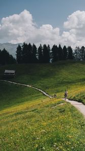 Превью обои горы, луг, тропинка, холмы, деревья, пейзаж