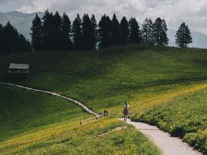 Превью обои горы, луг, тропинка, холмы, деревья, пейзаж