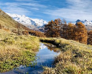 Превью обои горы, лужа, деревья, трава, пейзаж, природа