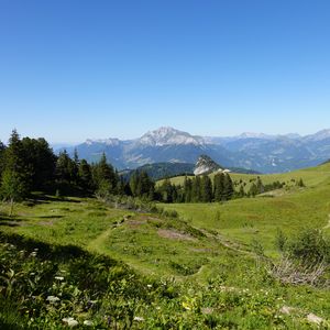 Превью обои горы, лужайка, деревья, трава, природа