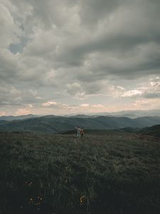 Превью обои горы, лужайка, люди, зелень, пейзаж