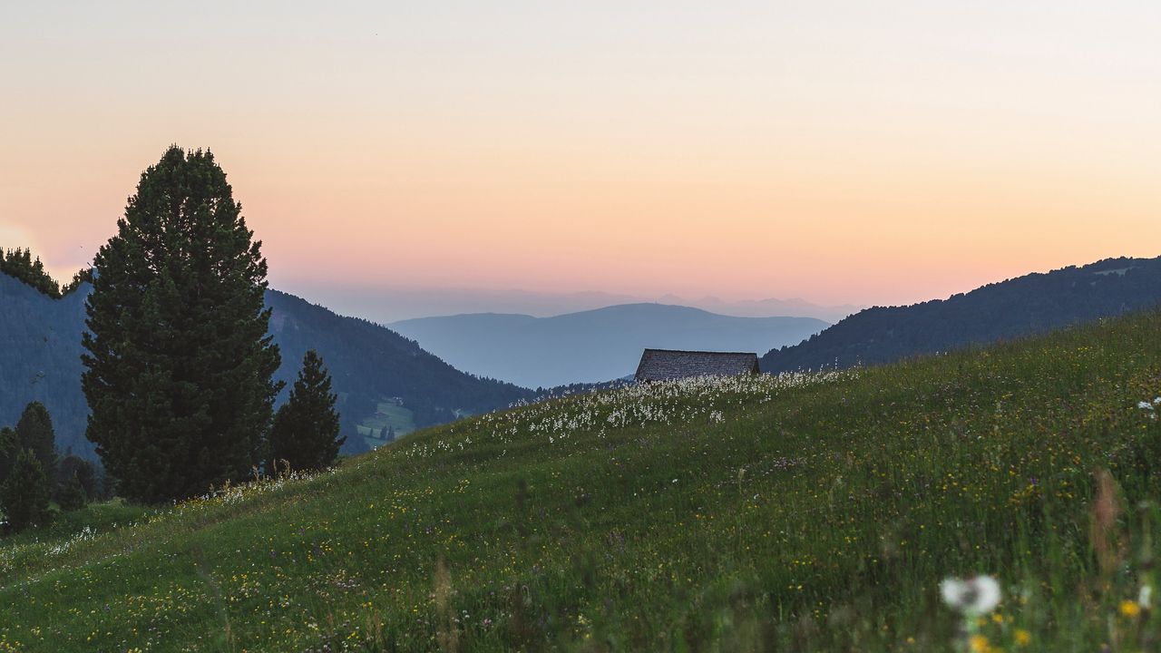 Обои горы, лужайка, пейзаж, трава, деревья