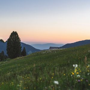 Превью обои горы, лужайка, пейзаж, трава, деревья
