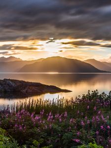 Превью обои горы, море, цветы, закат, небо