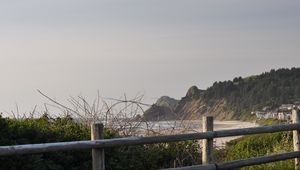 Превью обои горы, море, ветки, берег, вид, природа
