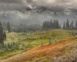 Превью обои горы, мороз, туман