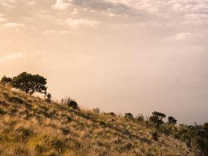 Превью обои горы, облака, туман, вершина, высота, пейзаж