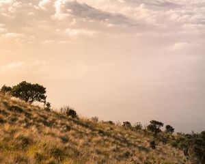 Превью обои горы, облака, туман, вершина, высота, пейзаж