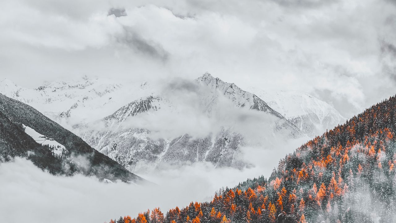 Обои горы, облака, заснеженный, лес, пейзаж