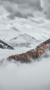 Превью обои горы, облака, заснеженный, лес, пейзаж