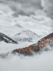 Превью обои горы, облака, заснеженный, лес, пейзаж