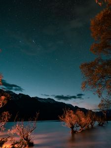 Превью обои горы, озеро, деревья, сумерки, звездное небо