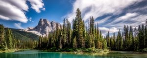 Превью обои горы, озеро, ель, лес, небо
