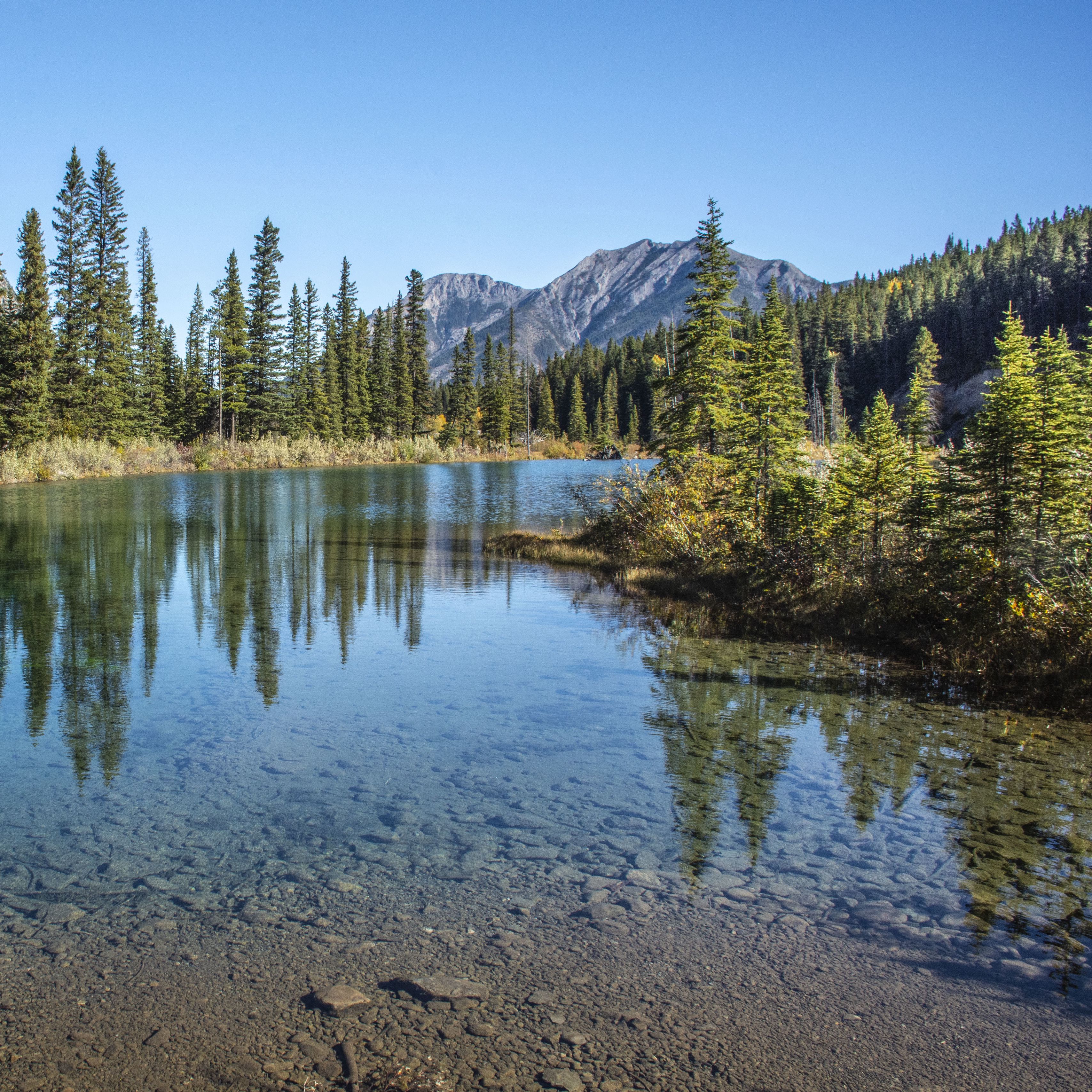 Lake place. Парк Стоун Маунтин озеро. Ель у озера. Озеро и ели. Заставка на экран.