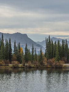 Превью обои горы, озеро, ель, деревья, осень