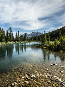 Превью обои горы, озеро, лес, деревья, камни