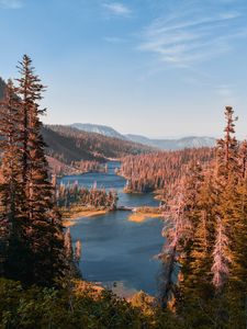 Превью обои горы, озеро, пейзаж, хвоя, пихта