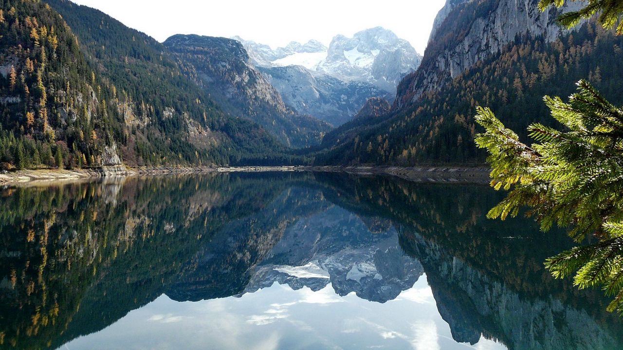 Обои горы, озеро, водная поверхность, отражение, зеркало, деревья, ветви