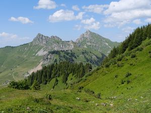 Превью обои горы, пейзаж, деревья, долина, трава, природа