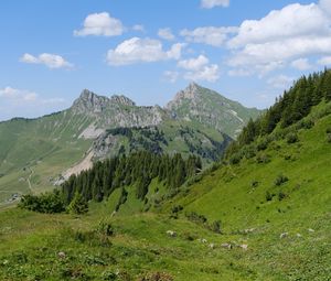 Превью обои горы, пейзаж, деревья, долина, трава, природа